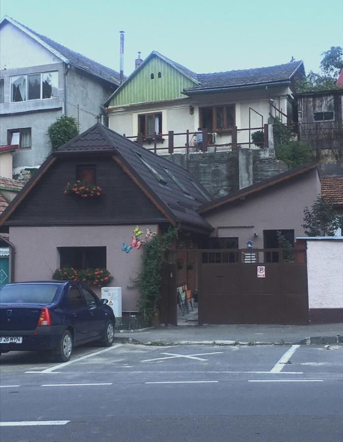 Maison Rosmina Braşov Exterior foto